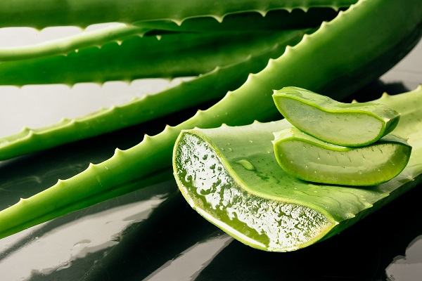 Aloe vera gél belsőleg –biztonsággal ehető-e az aloe vera növény?